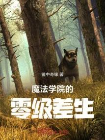 A Poor Student at the Magic Academy