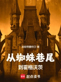 From Spider Alley to Hogwarts