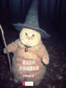 Cat Magician from Magic Academy