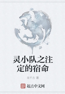 Team Spirit: the Destined Destiny