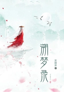 Dream Tracking Record