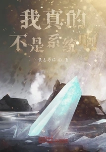 I'm Really Not a System