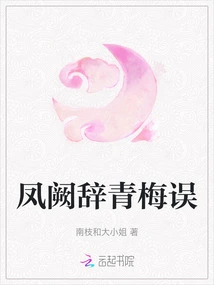 Fengque's Ci Qingmei Mistake