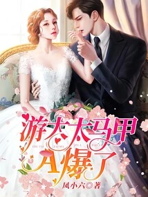 Mrs. You's Vest a Exploded