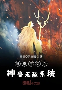 Pokémon Invincibility System