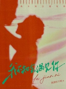 I Didn't Know I Would Meet You