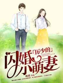 Mr. Li's Flash Marriage and Cute Little Wife