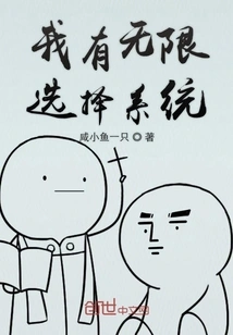 I Have Unlimited Choice System