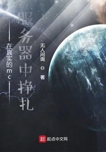 Struggling in Real Mc Server