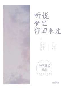 I Heard You Came Back in My Dream