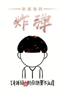 Don't Mess with My Bomb