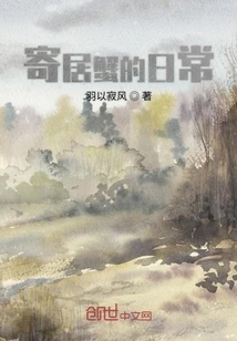 Daily Life of a Hermit Crab