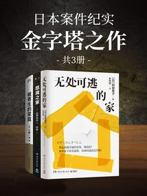 Documentary of Japanese Cases: the Pyramid (a Total of 3 Volumes)