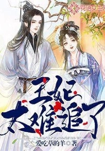 The Princess is Too Hard to Chase