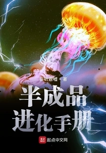 Semi-finished Product Evolution Manual