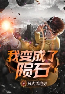 I Became a Meteorite