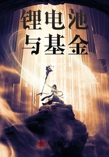 Lithium Batteries and Funds