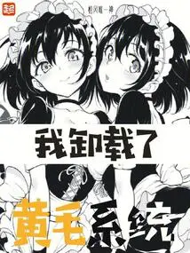 I Uninstalled Huangmao System