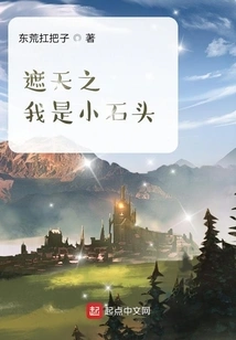 I Am a Small Stone Covering the Sky