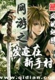 Online Games Made Their Fortune in Novice Village