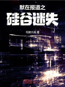 Silently Reporting: Lost in Silicon Valley