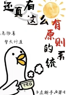 Is There Really Such a Principled System?