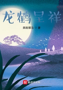 Dragon and Crane Appear Auspicious