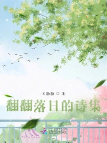 A Collection of Poems About the Setting Sun