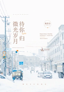 The Glimmering Years Are Waiting for You to Return