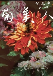Chrysanthemum Beauty