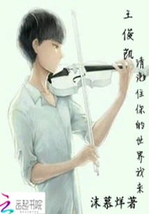 Wang Junkai, Please Remember That I Have Been in Your World