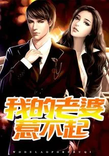 My Wife Can't Be Offended