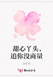 Sweet Girl, I Have No Objection to Pursuing You