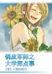 The Things About the University of the Playful Military Advisor