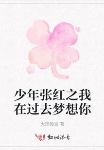 Young Zhang Hongzhi I Dreamed of You in the Past