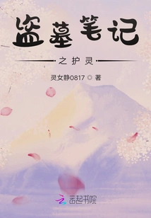 Tomb Raider Notes: Guardian Spirit