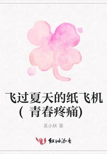 Paper Planes Flying over Summer (youth Pain)