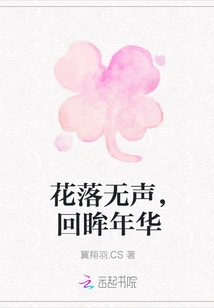 Flowers Fall Silently, Looking Back at the Years