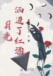 The Moonlight Spilled into the Red Wine