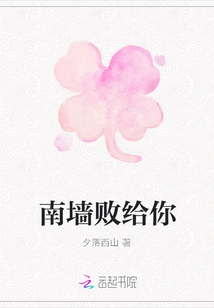 South Wall is Defeated by You