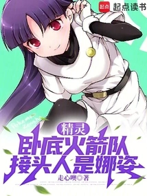 Elf: Undercover Team Rocket, the Contact Person is Nazi