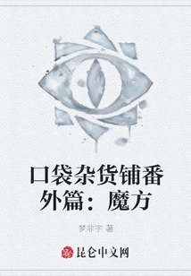 Extra Chapter of Pocket Grocery Store: Rubik's Cube