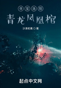 Treasure Hunt Luoyang Green Dragon Phoenix Coffin