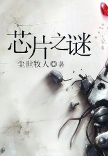 The Mystery of the Chip