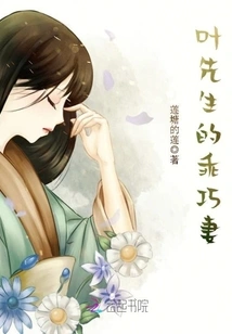 Mr. Ye's Lovely Wife