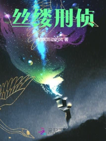 Silk Criminal Investigation