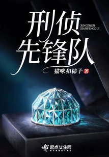 Criminal Investigation Vanguard