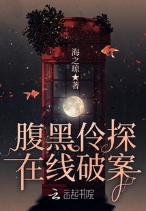 The Shady Detective Solves the Case Online