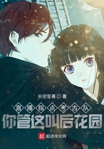 Live Broadcast to Guide the Archaeological Team: You Call This the Back Garden