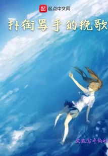 The Elegy of a Street Writer